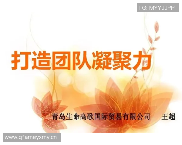 杭州排球队选拔赛点评团队协作展现出色凝聚力与默契配合 杭州排球队选拔赛点评团队协作展现出色凝聚力与默契配合