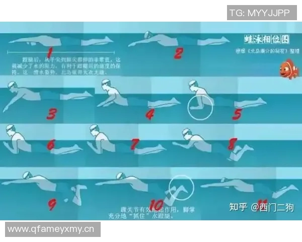 仰泳基本技巧解析与训练方法提升全方位游泳能力